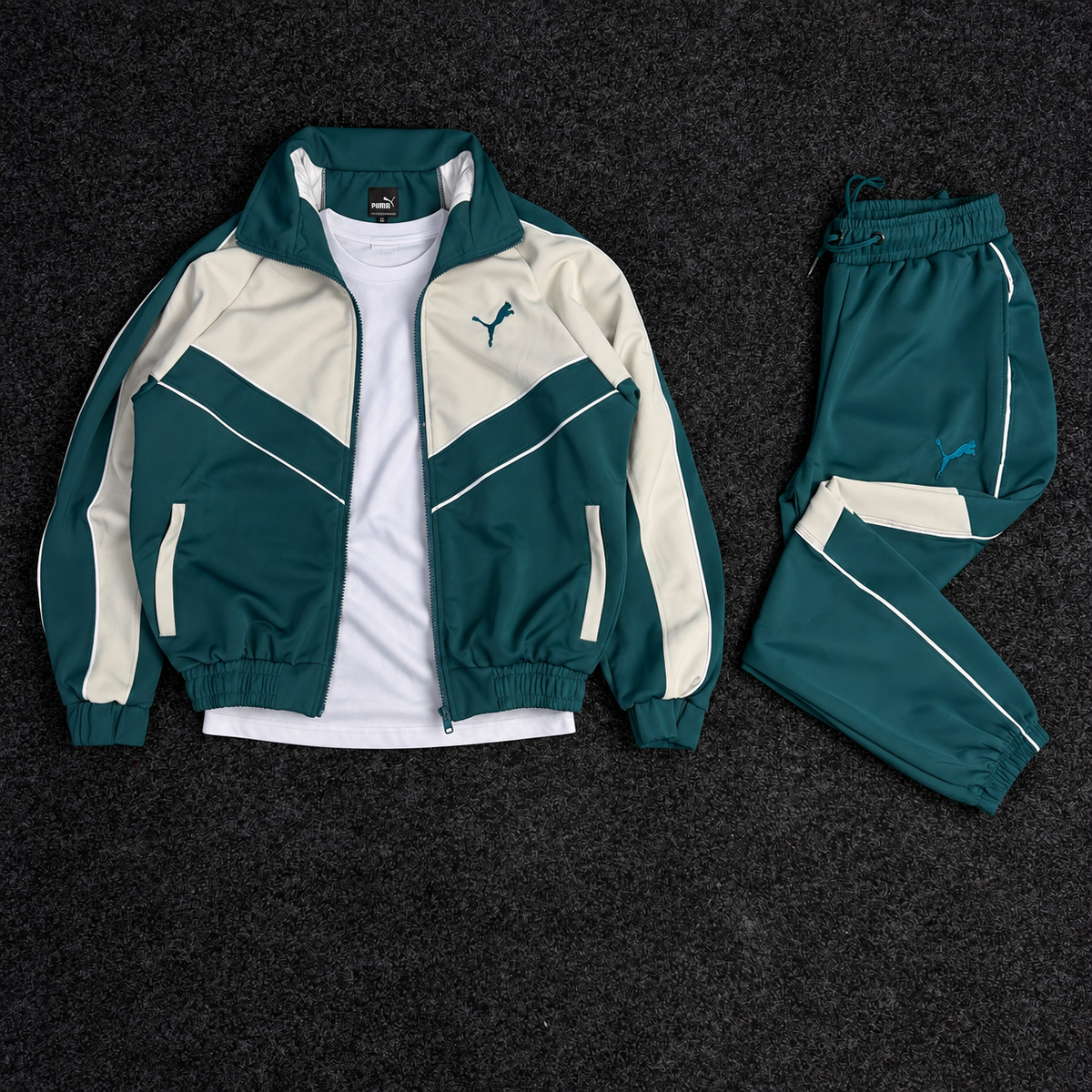 PUMA ENSEMBLE OBS