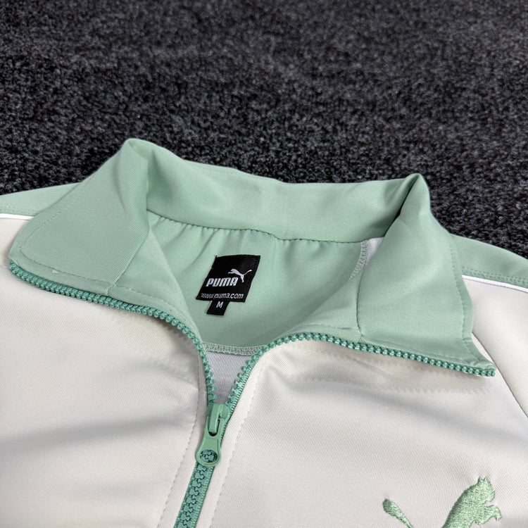 PUMA ENSEMBLE OBS