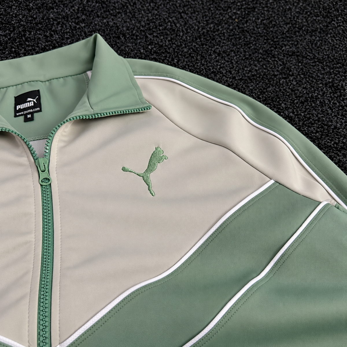 PUMA ENSEMBLE OBS