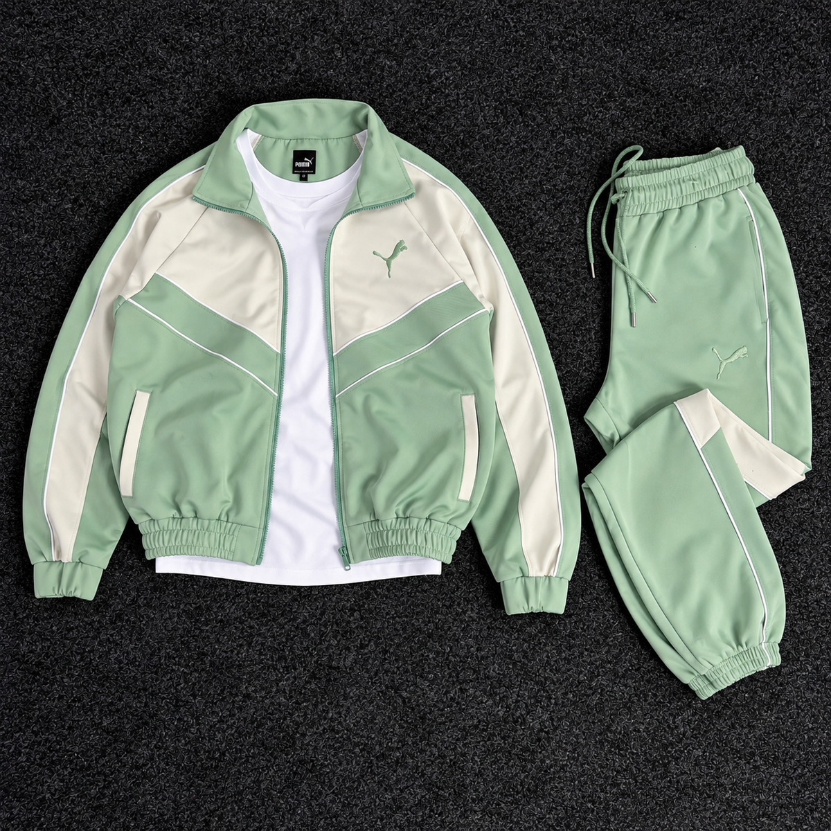 PUMA ENSEMBLE OBS