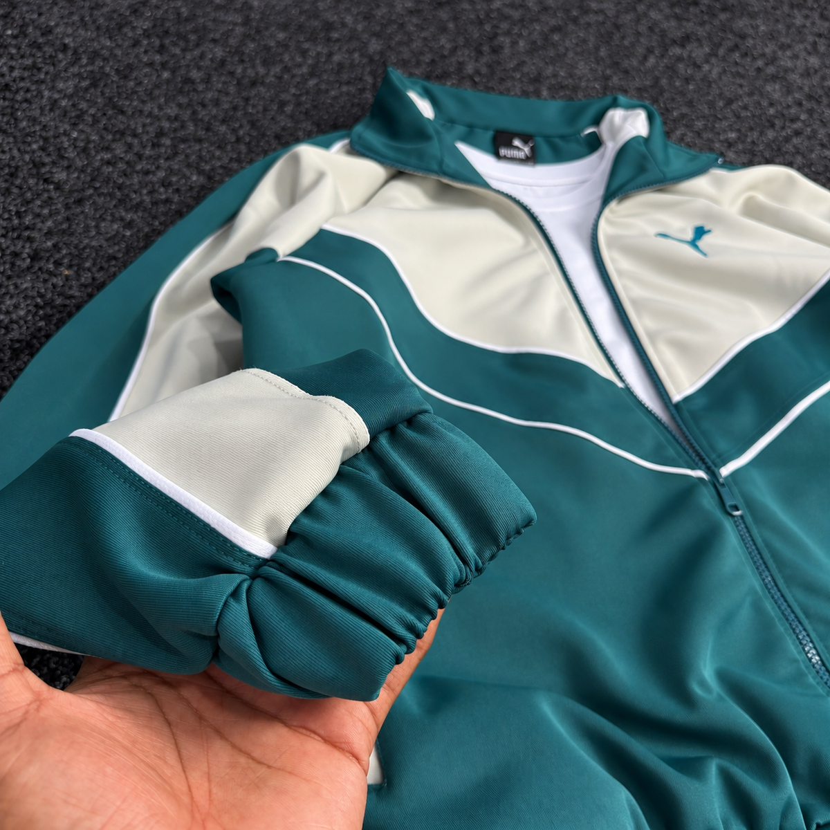 PUMA ENSEMBLE OBS