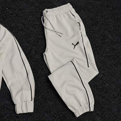 PUMA ENSEMBLE OBS