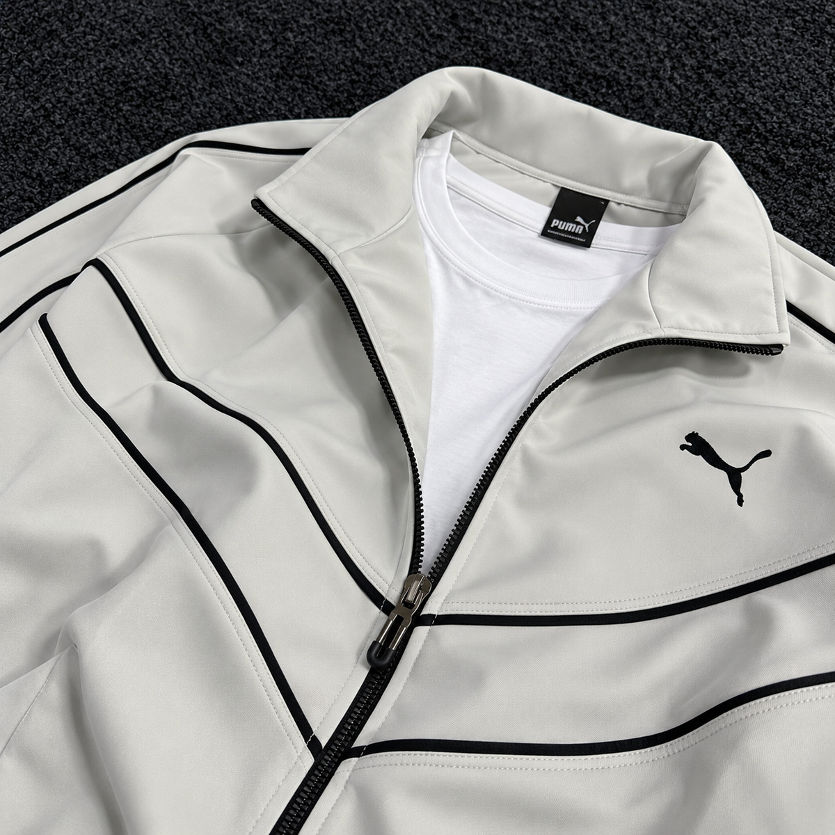 PUMA ENSEMBLE OBS