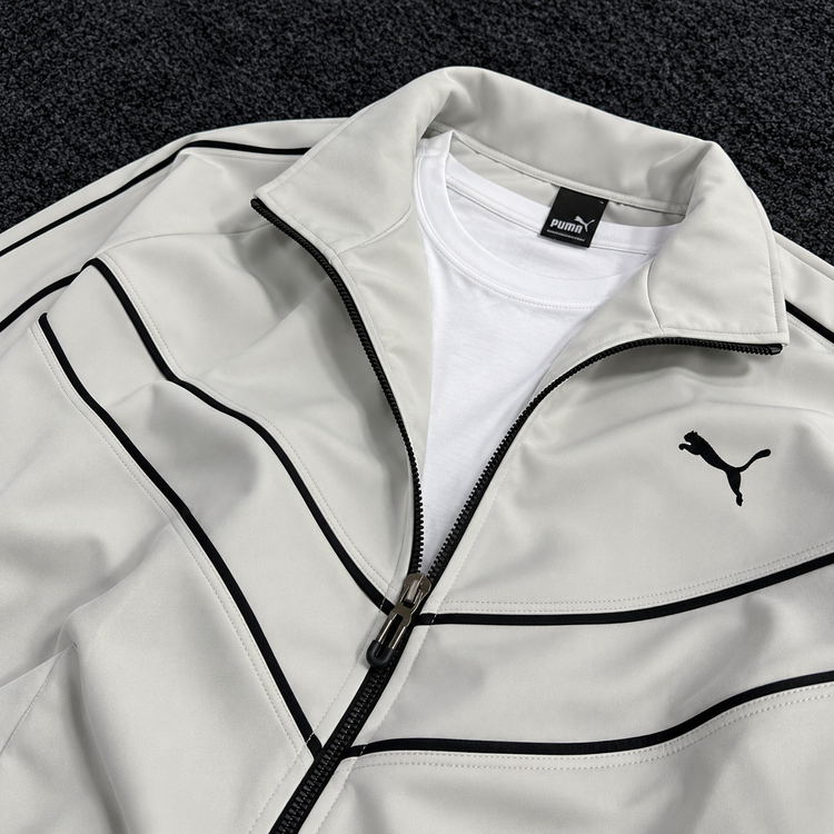 PUMA ENSEMBLE OBS