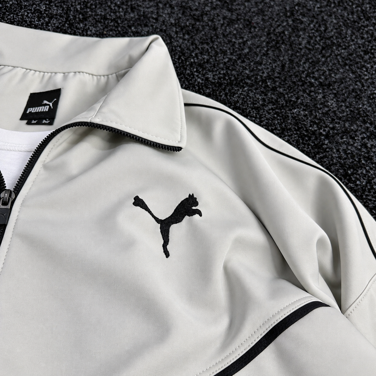 PUMA ENSEMBLE OBS