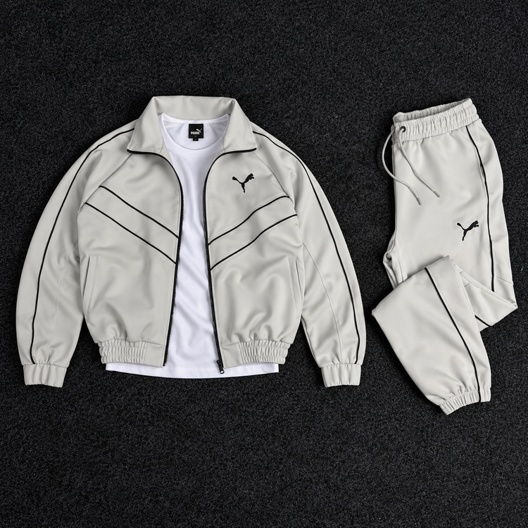 PUMA ENSEMBLE OBS