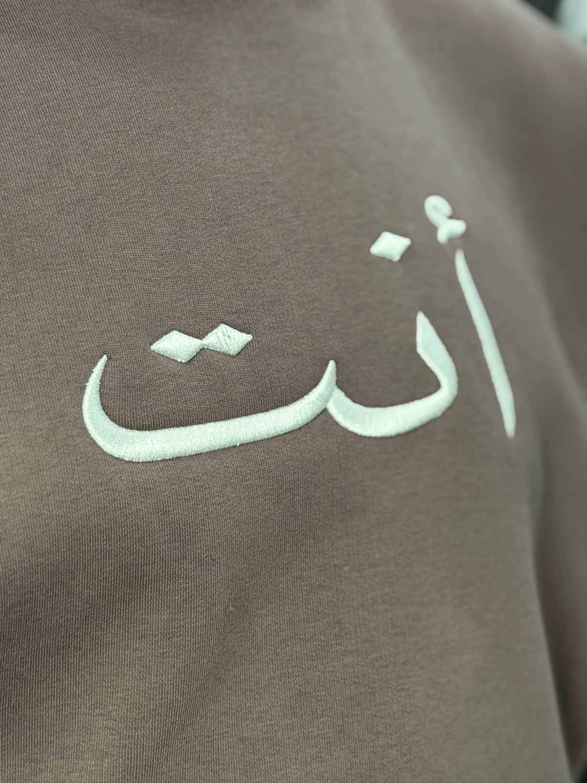 ANT — Essential Hoodie Brown