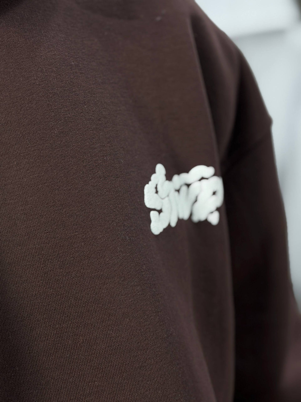 HOODIE STWD SMOKY - BROWN