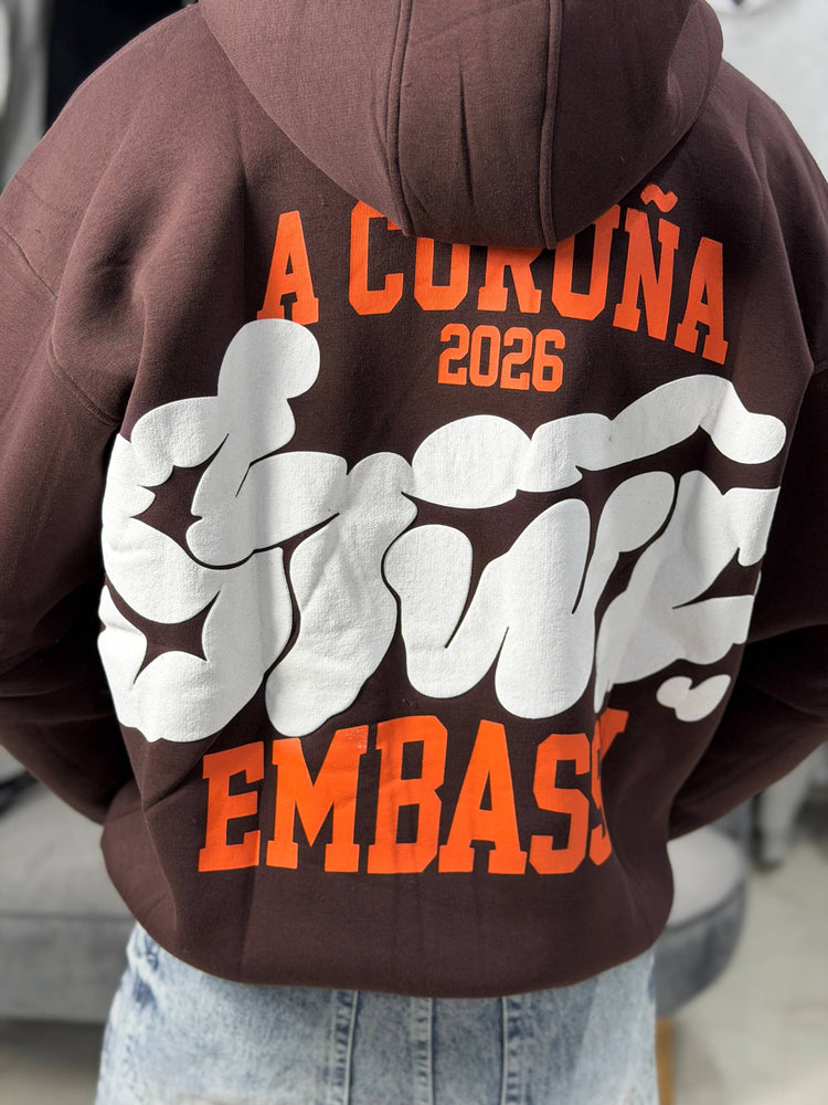 HOODIE STWD SMOKY - BROWN